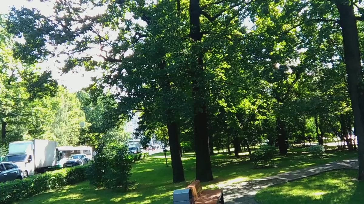 Video Two